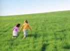 Il Tuo Portale del Biologico!
